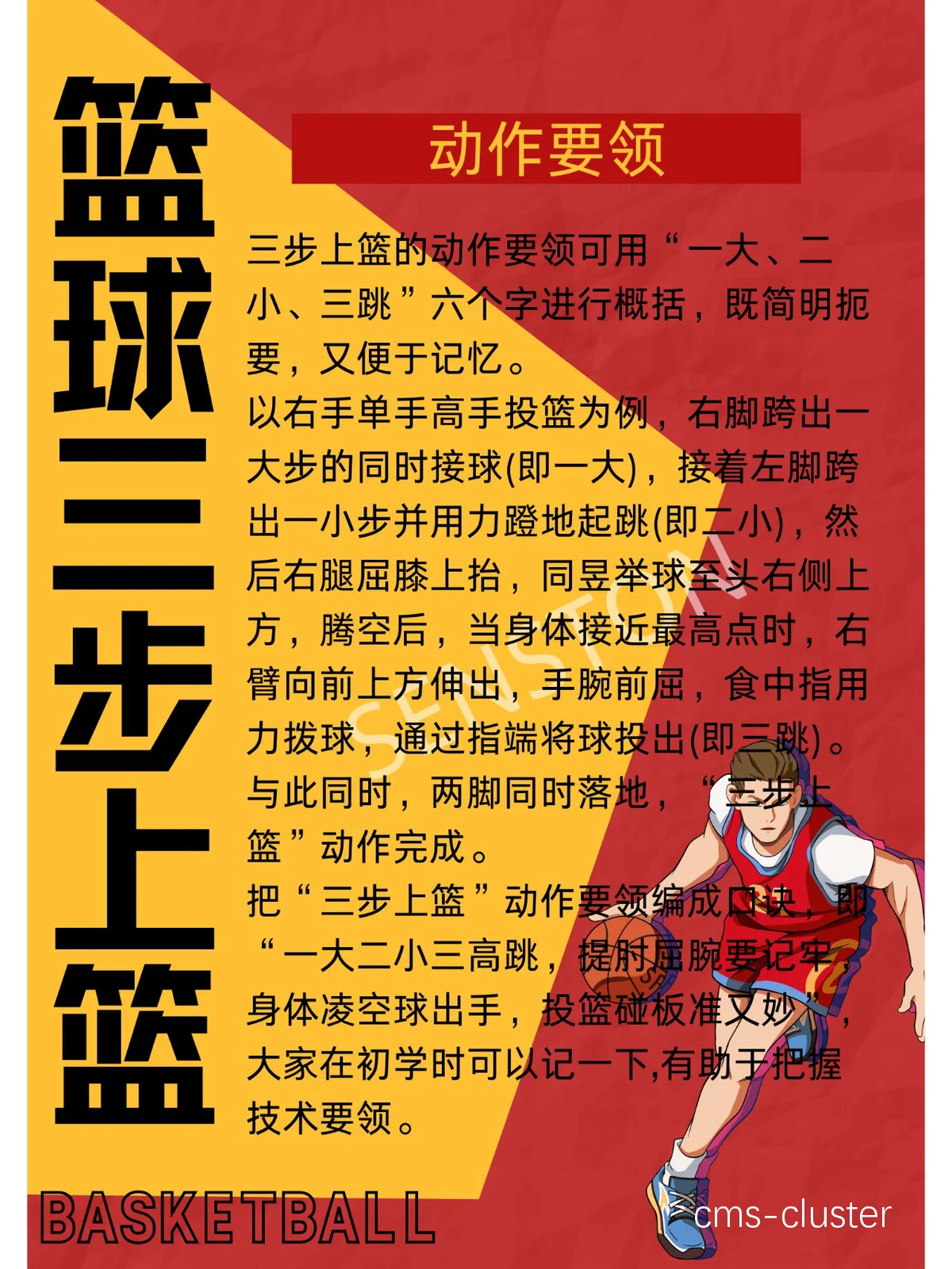 篮球基本功训练视频教程下载手机版
