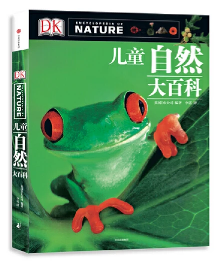 篮球协调训练的有效工具和设备推荐_0