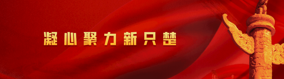 适合不同年龄段篮球爱好者的体能训练方案_2