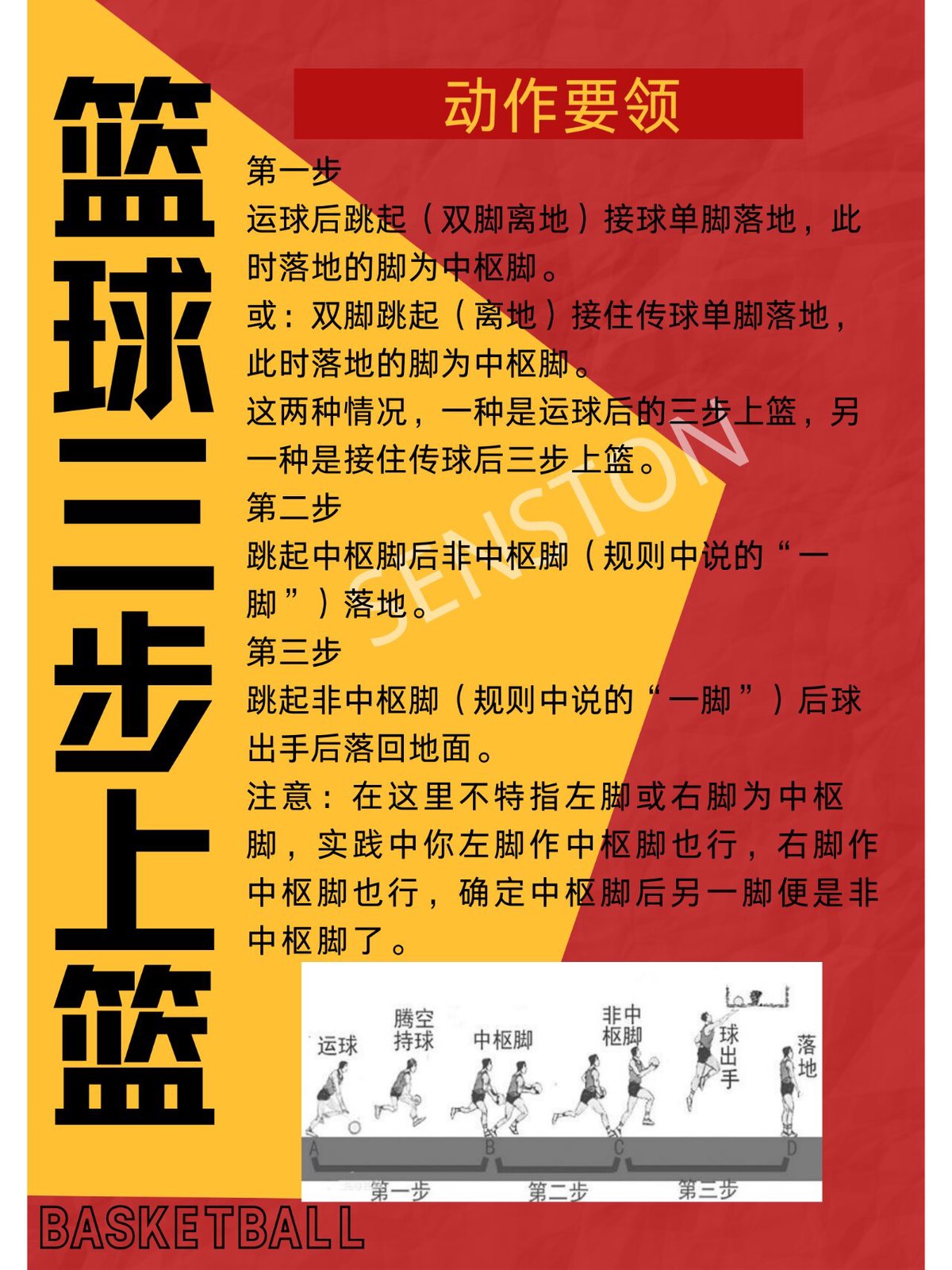 篮球个人训练教学视频教程全集