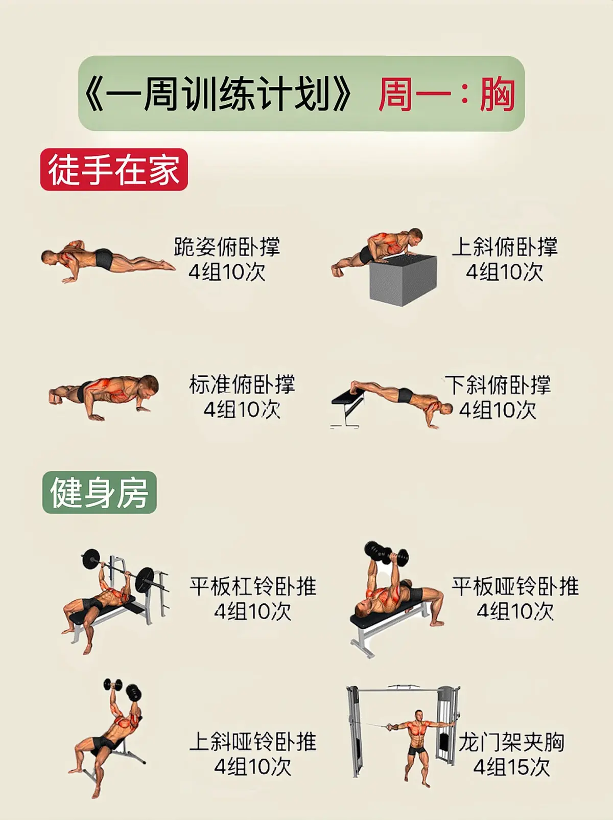 学校篮球队训练受伤谁负责_1