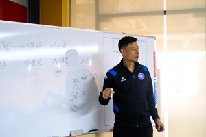  年轻教练如何为球队提供全面的训练支持：策略、方法与实践经验